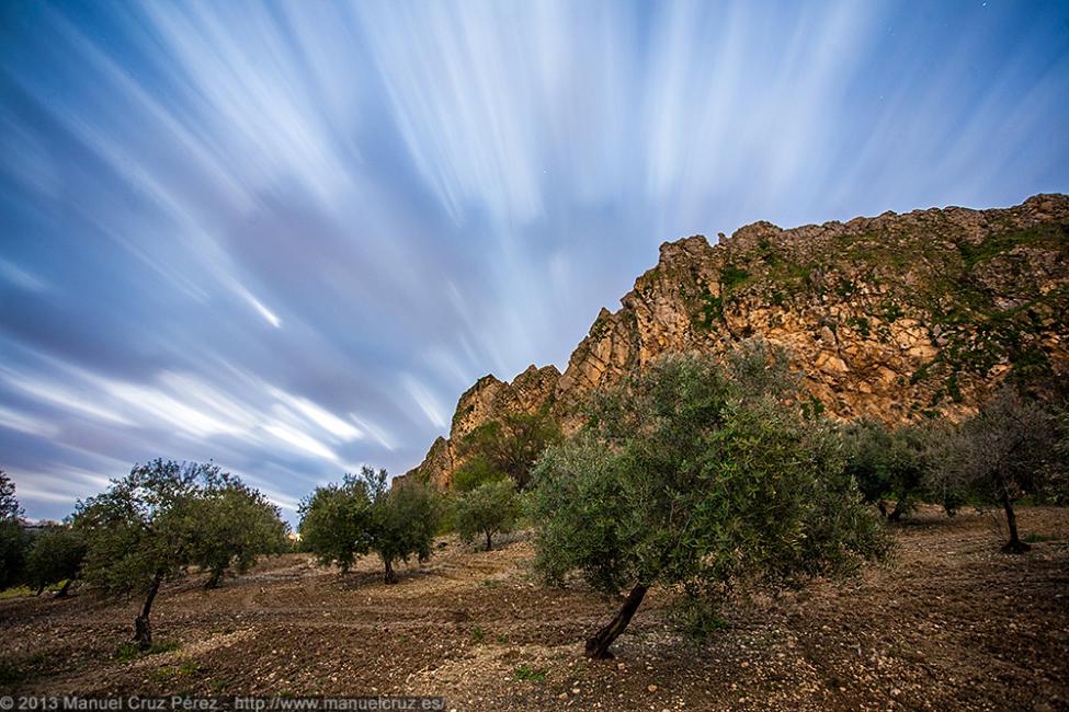 Imagen 11 de la galería de paisaje